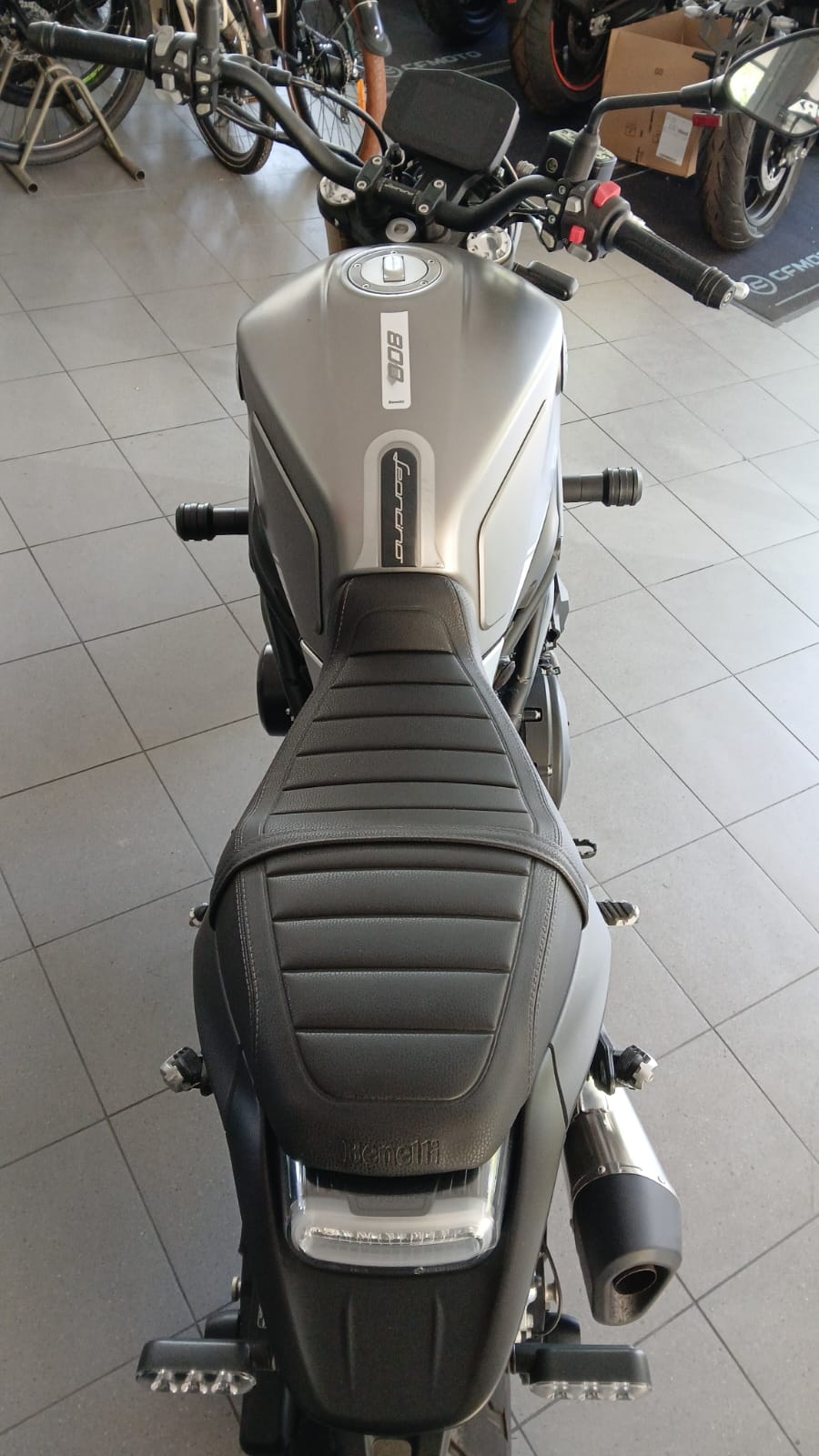 Benelli Leoncino 800 (2022 - 24)