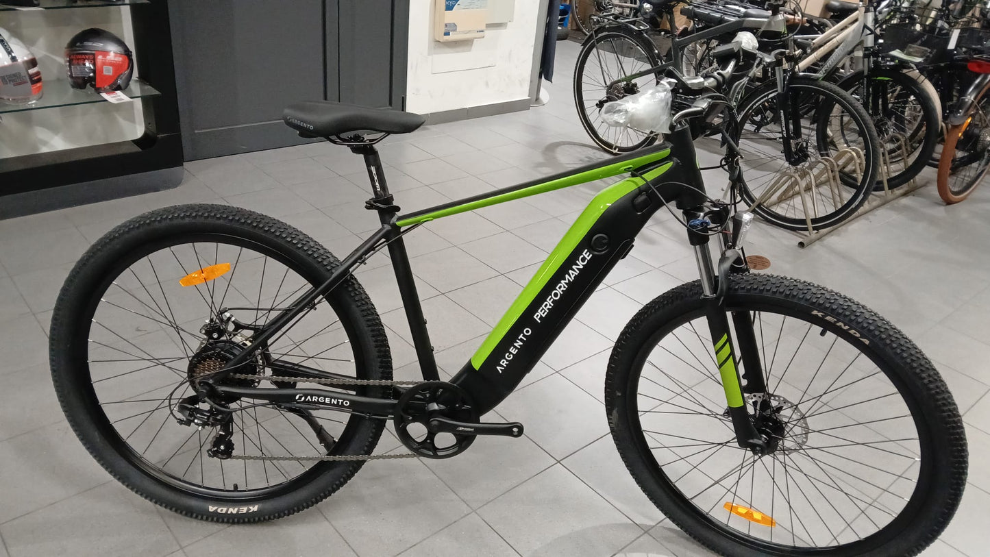 E-BIKE MTB