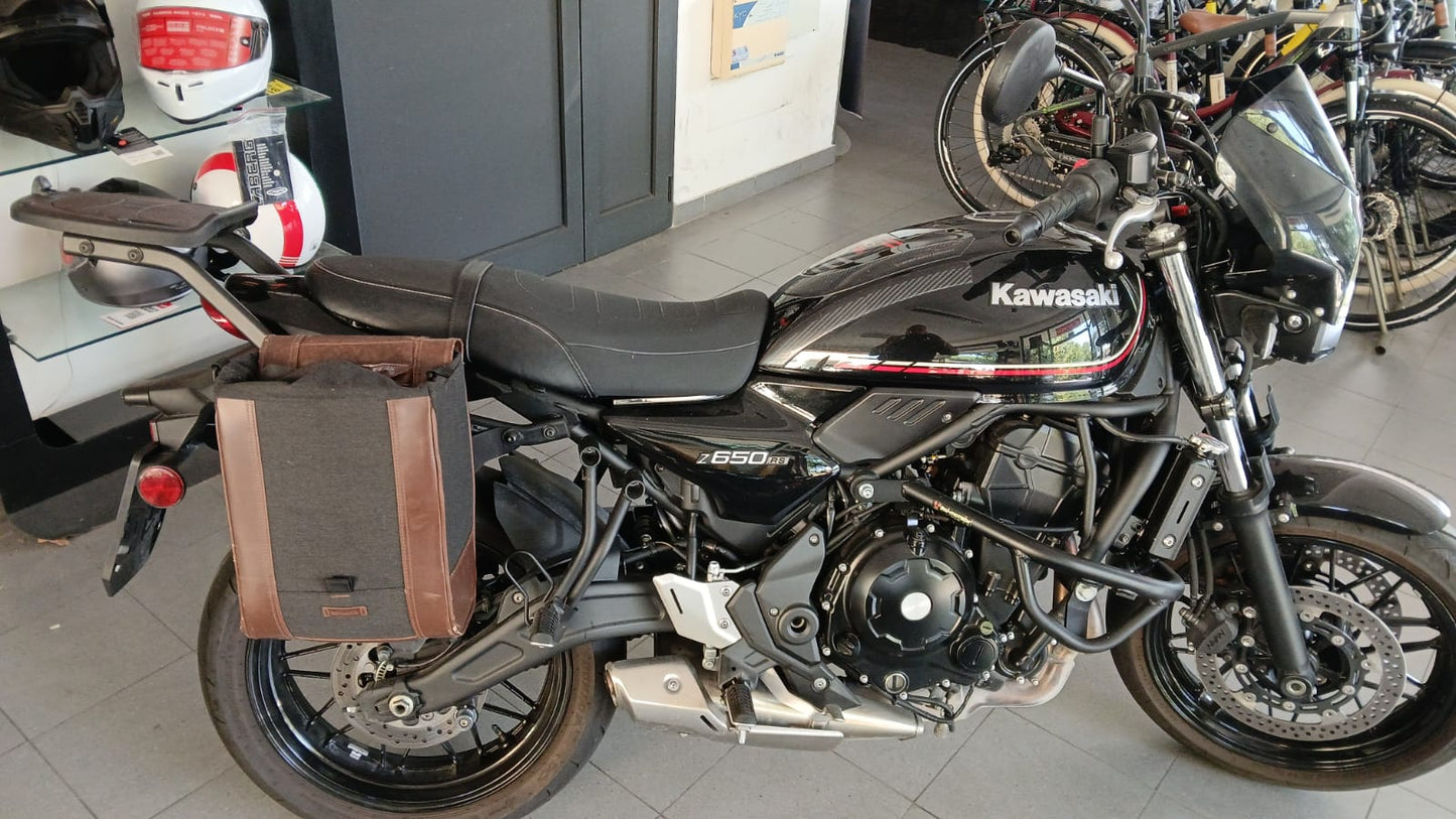 Kawasaki Z 650 2024