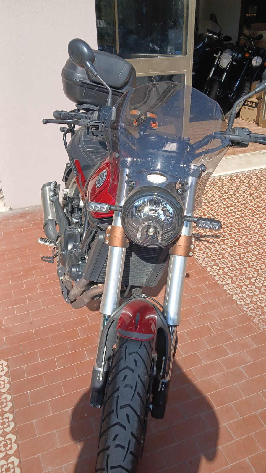 Benelli Leoncino 500 Trail 2021